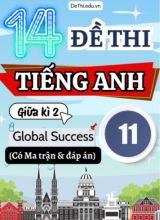 14 Đề thi Tiếng Anh 11 giữa kì 2 Global Success có Ma trận & Đáp án